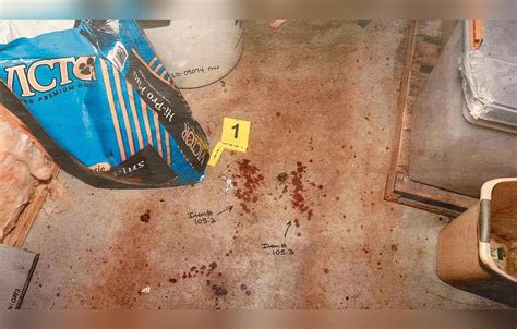 leaked murdaugh crime scene photos|GRAPHIC: Body